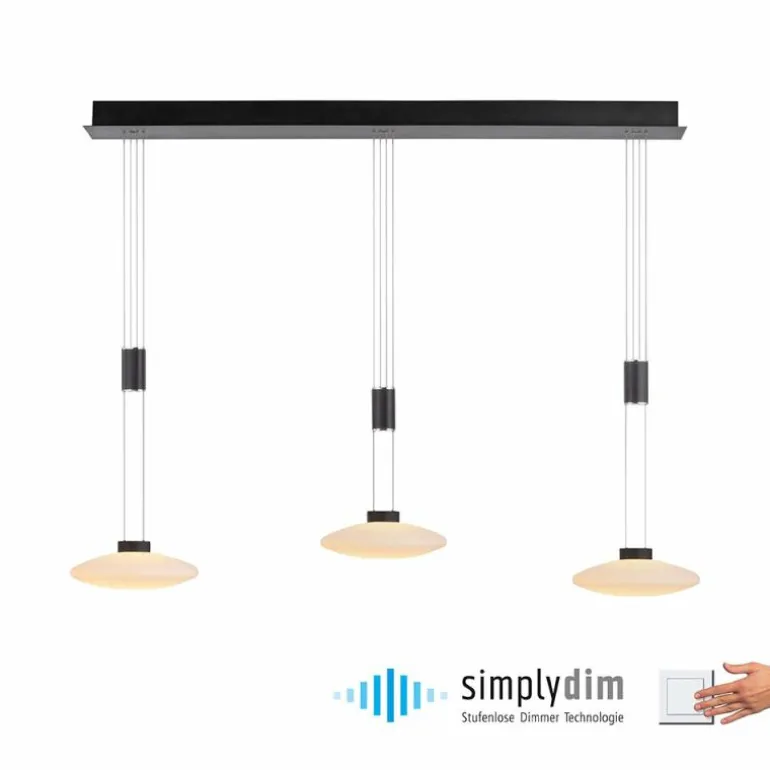 Suspension Paul Neuhaus LAUTADA LED Noir, 3 lumières