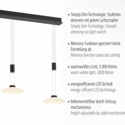 Suspension Paul Neuhaus LAUTADA LED Noir, 3 lumières