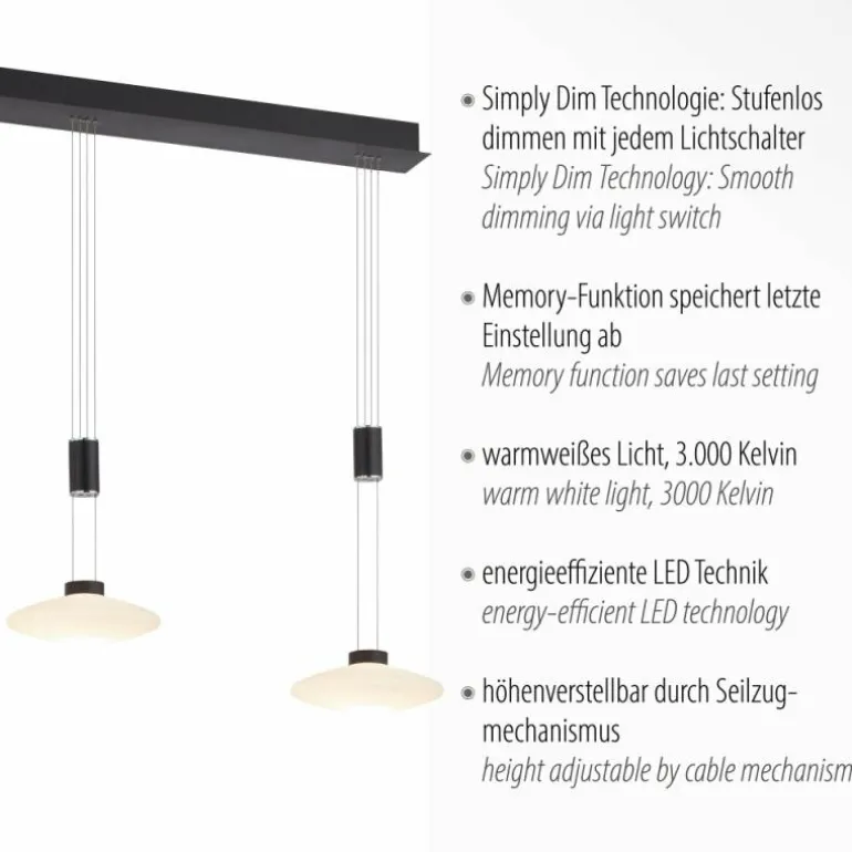 Suspension Paul Neuhaus LAUTADA LED Noir, 3 lumières