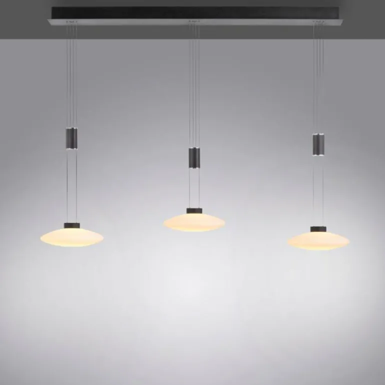 Suspension Paul Neuhaus LAUTADA LED Noir, 3 lumières
