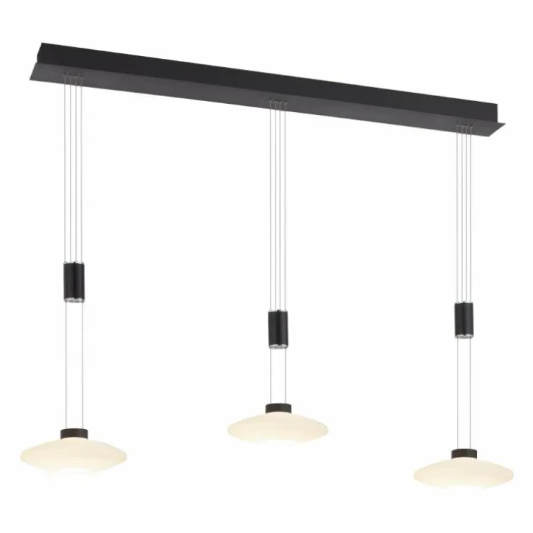 Suspension Paul Neuhaus LAUTADA LED Noir, 3 lumières