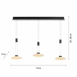 Suspension Paul Neuhaus LAUTADA LED Noir, 3 lumières