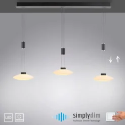 Suspension Paul Neuhaus LAUTADA LED Noir, 3 lumières