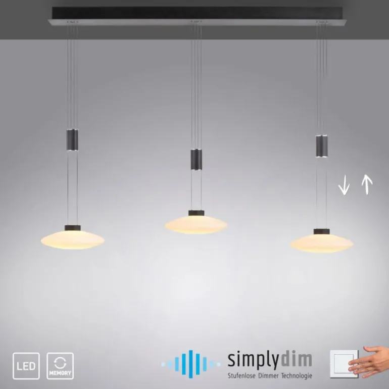 Suspension Paul Neuhaus LAUTADA LED Noir, 3 lumières