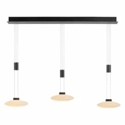 Suspension Paul Neuhaus LAUTADA LED Noir, 3 lumières