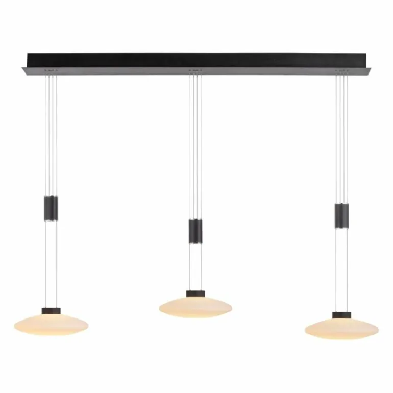 Suspension Paul Neuhaus LAUTADA LED Noir, 3 lumières