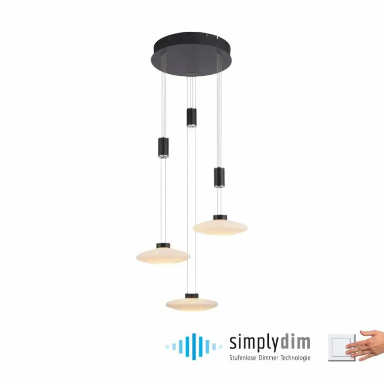 Suspension Paul Neuhaus LAUTADA LED Noir, 3 lumières
