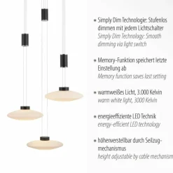 Suspension Paul Neuhaus LAUTADA LED Noir, 3 lumières