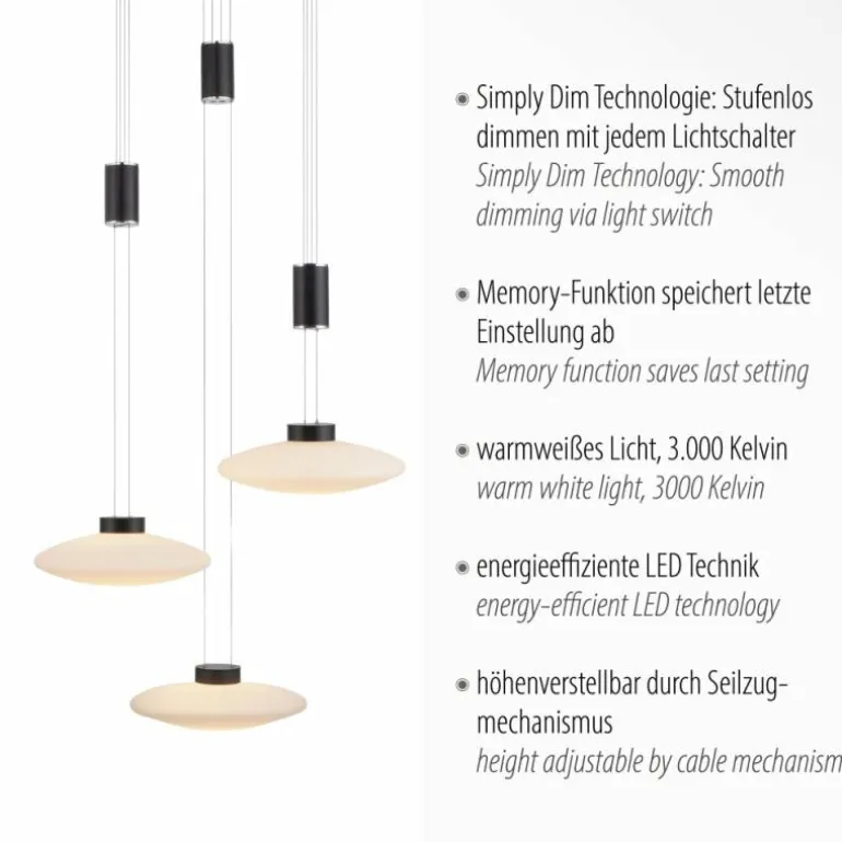 Suspension Paul Neuhaus LAUTADA LED Noir, 3 lumières