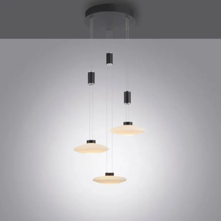 Suspension Paul Neuhaus LAUTADA LED Noir, 3 lumières