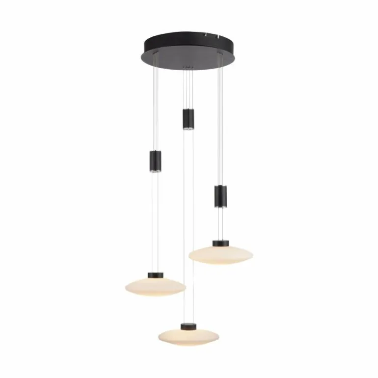 Suspension Paul Neuhaus LAUTADA LED Noir, 3 lumières