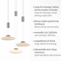 Suspension Paul Neuhaus LAUTADA LED Acier brossé, 3 lumières
