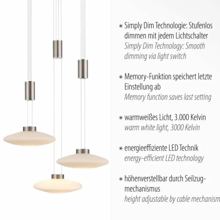 Suspension Paul Neuhaus LAUTADA LED Acier brossé, 3 lumières