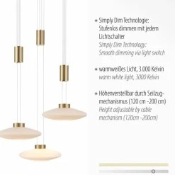 Suspension Paul Neuhaus LAUTADA LED Laiton, 3 lumières