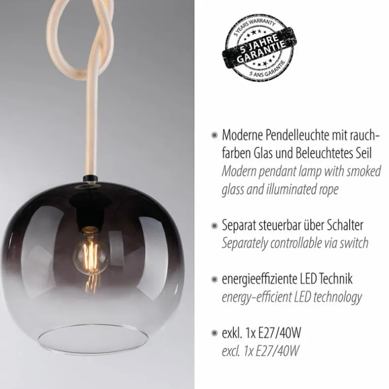 Suspension Paul Neuhaus LUMA Noir, 1 lumière