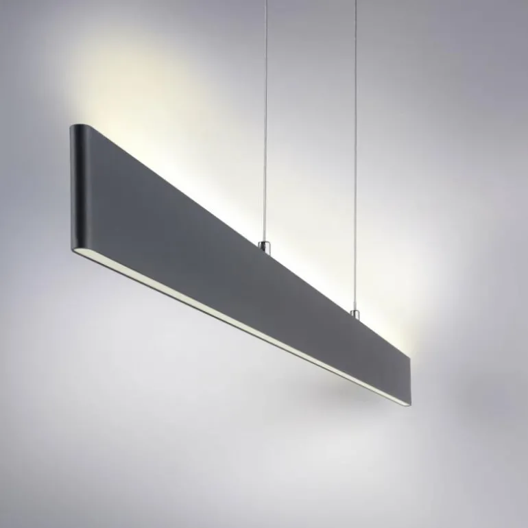 Suspension Paul Neuhaus NILA LED Anthracite, 2 lumières, Télécommandes