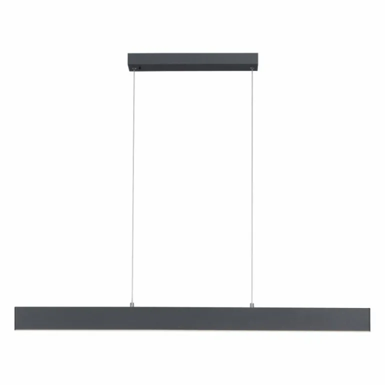 Suspension Paul Neuhaus NILA LED Anthracite, 2 lumières, Télécommandes