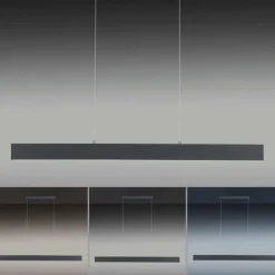 Suspension Paul Neuhaus NILA LED Anthracite, 2 lumières, Télécommandes