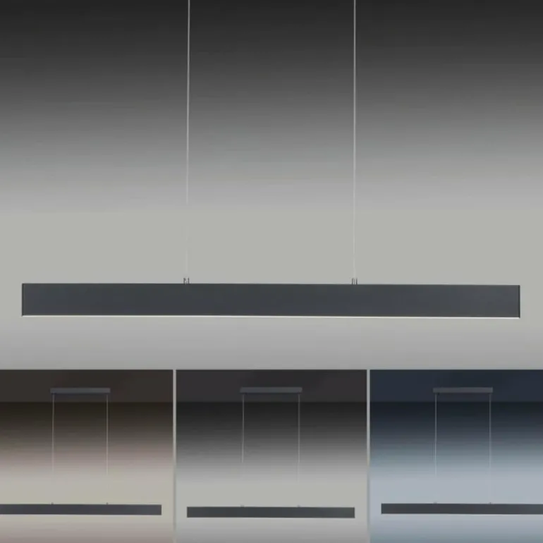 Suspension Paul Neuhaus NILA LED Anthracite, 2 lumières, Télécommandes