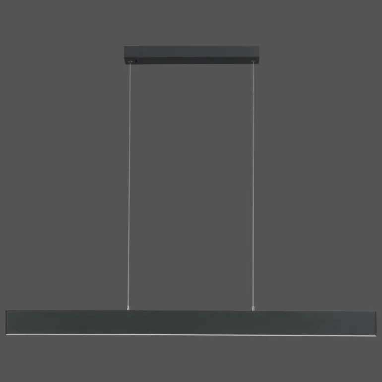 Suspension Paul Neuhaus NILA LED Anthracite, 2 lumières, Télécommandes