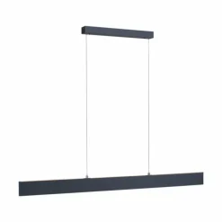 Suspension Paul Neuhaus NILA LED Anthracite, 2 lumières, Télécommandes