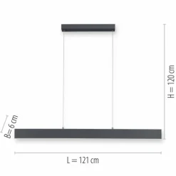 Suspension Paul Neuhaus NILA LED Anthracite, 2 lumières, Télécommandes