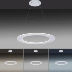 Suspension Paul Neuhaus PURE-COSMO LED Aluminium, 17 lumières, Télécommandes