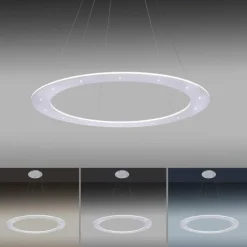 Suspension Paul Neuhaus PURE-COSMO LED Aluminium, 25 lumières, Télécommandes