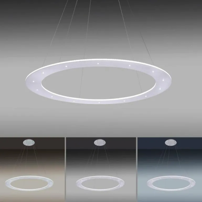 Suspension Paul Neuhaus PURE-COSMO LED Aluminium, 25 lumières, Télécommandes