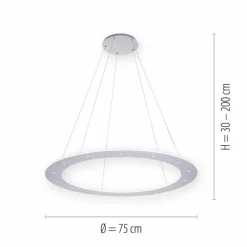 Suspension Paul Neuhaus PURE-COSMO LED Aluminium, 25 lumières, Télécommandes