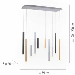 Suspension Paul Neuhaus PURE-GEMIN LED Aluminium, Noir, 10 lumières