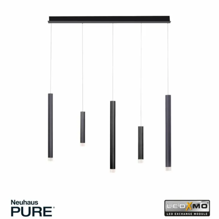 Suspension Paul Neuhaus PURE-GEMIN LED Aluminium, Noir, 5 lumières