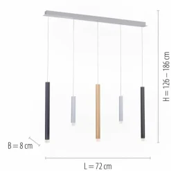 Suspension Paul Neuhaus PURE-GEMIN LED Aluminium, Laiton, Noir, 5 lumières