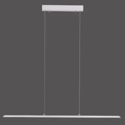 Suspension Paul Neuhaus PURE-LITE LED Acier inoxydable, 1 lumière