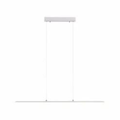 Suspension Paul Neuhaus PURE-LITE LED Acier inoxydable, 1 lumière