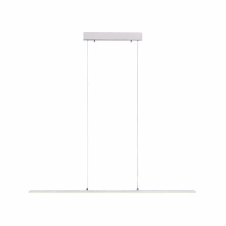 Suspension Paul Neuhaus PURE-LITE LED Acier inoxydable, 1 lumière