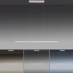 Suspension Paul Neuhaus PURE-LITE LED Acier inoxydable, 1 lumière