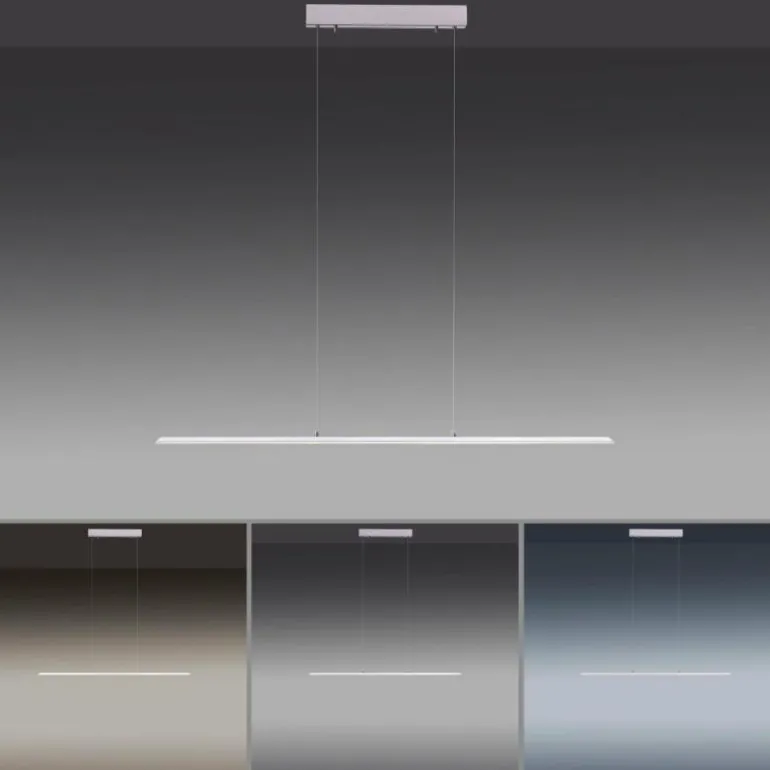 Suspension Paul Neuhaus PURE-LITE LED Acier inoxydable, 1 lumière