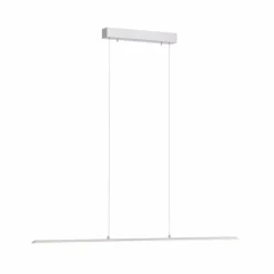 Suspension Paul Neuhaus PURE-LITE LED Acier inoxydable, 1 lumière