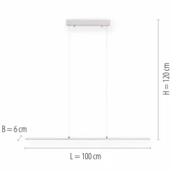 Suspension Paul Neuhaus PURE-LITE LED Acier inoxydable, 1 lumière