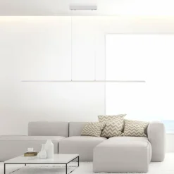 Suspension Paul Neuhaus PURE-LITE LED Acier inoxydable, 1 lumière