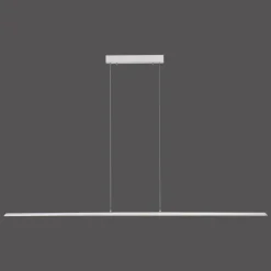 Suspension Paul Neuhaus PURE-LITE LED Acier inoxydable, 1 lumière