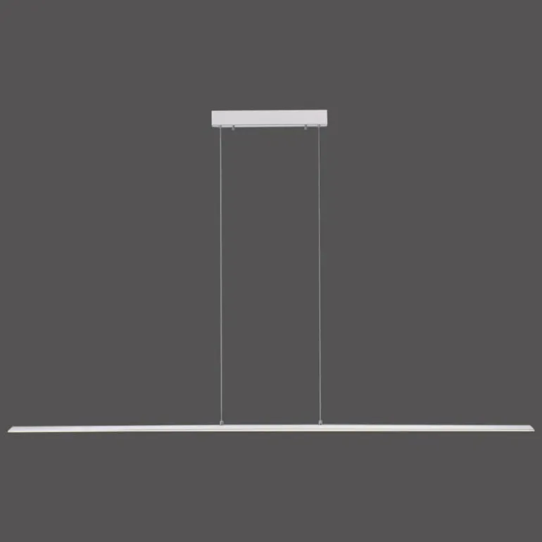 Suspension Paul Neuhaus PURE-LITE LED Acier inoxydable, 1 lumière