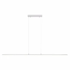 Suspension Paul Neuhaus PURE-LITE LED Acier inoxydable, 1 lumière