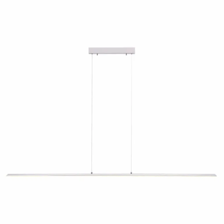 Suspension Paul Neuhaus PURE-LITE LED Acier inoxydable, 1 lumière