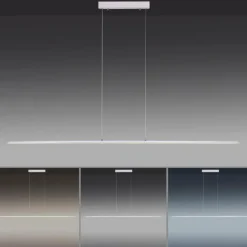 Suspension Paul Neuhaus PURE-LITE LED Acier inoxydable, 1 lumière