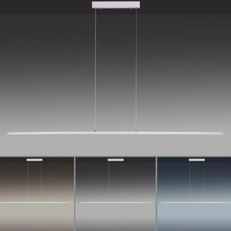 Suspension Paul Neuhaus PURE-LITE LED Acier inoxydable, 1 lumière