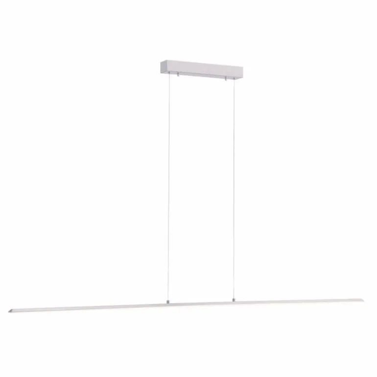Suspension Paul Neuhaus PURE-LITE LED Acier inoxydable, 1 lumière