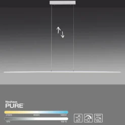 Suspension Paul Neuhaus PURE-LITE LED Acier inoxydable, 1 lumière