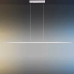 Suspension Paul Neuhaus PURE-LITE LED Acier inoxydable, 1 lumière